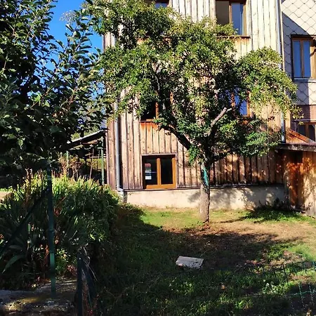 Apartamento City Center - Tokay-pinot Gris - Bookingalsace Riquewihr